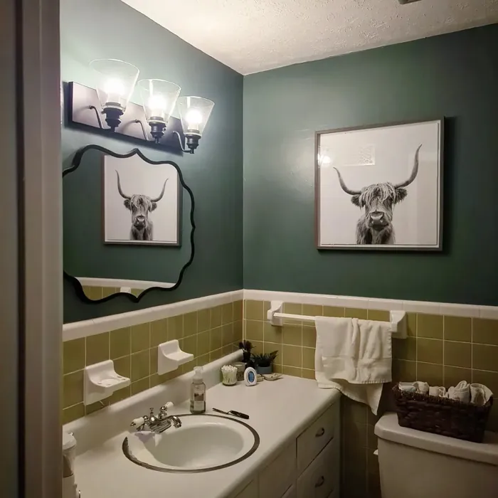 SW Studio Blue Green bathroom paint