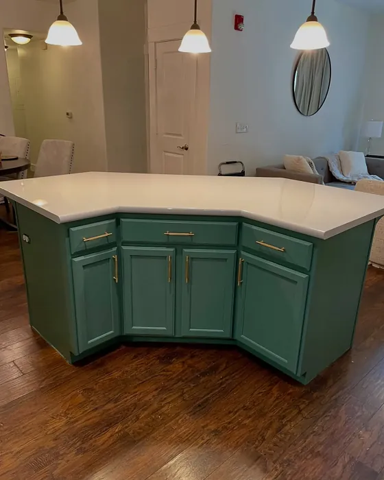 SW 0047 kitchen cabinets paint review