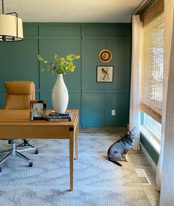 Sherwin williams studio blue green living room