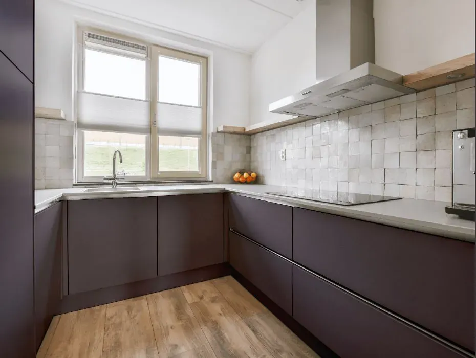 Sherwin Williams Stunning Shade small kitchen cabinets