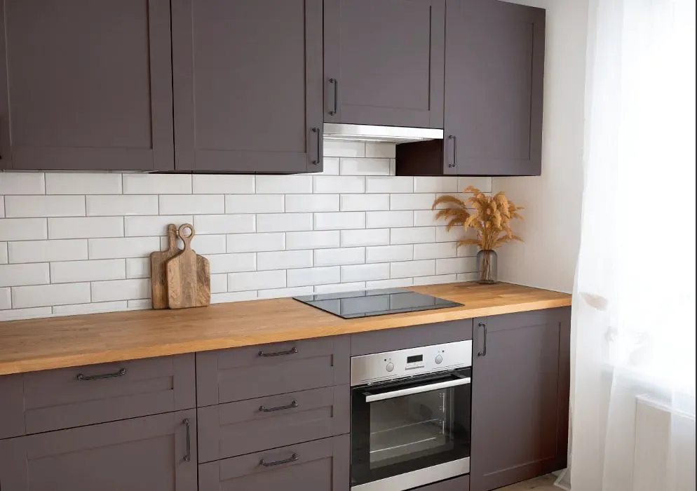 Sherwin Williams Stunning Shade kitchen cabinets