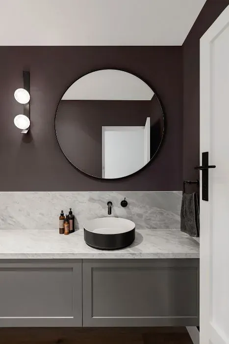 Sherwin Williams Stunning Shade minimalist bathroom