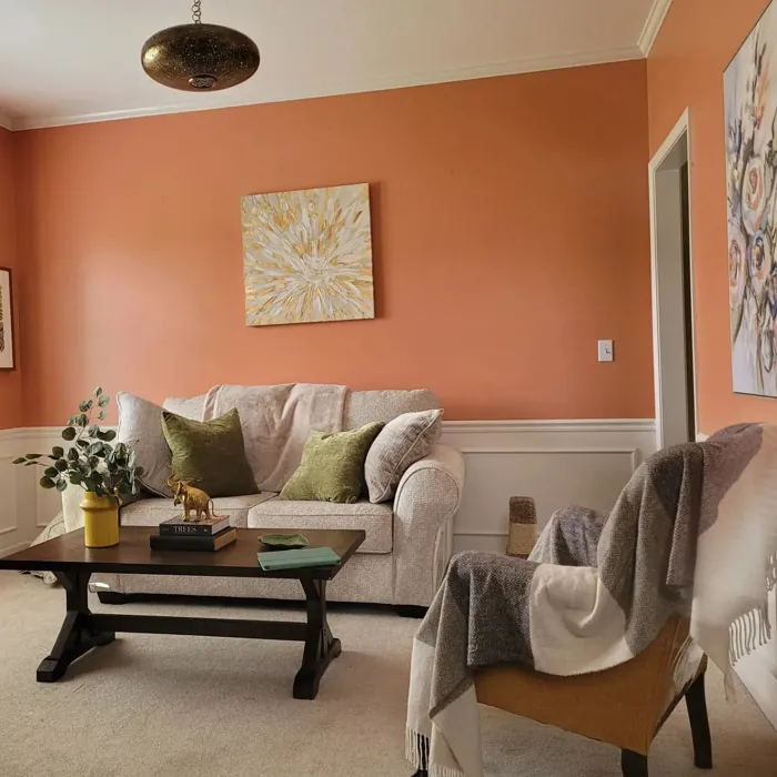 Sherwin Williams SW 9009 living room color review