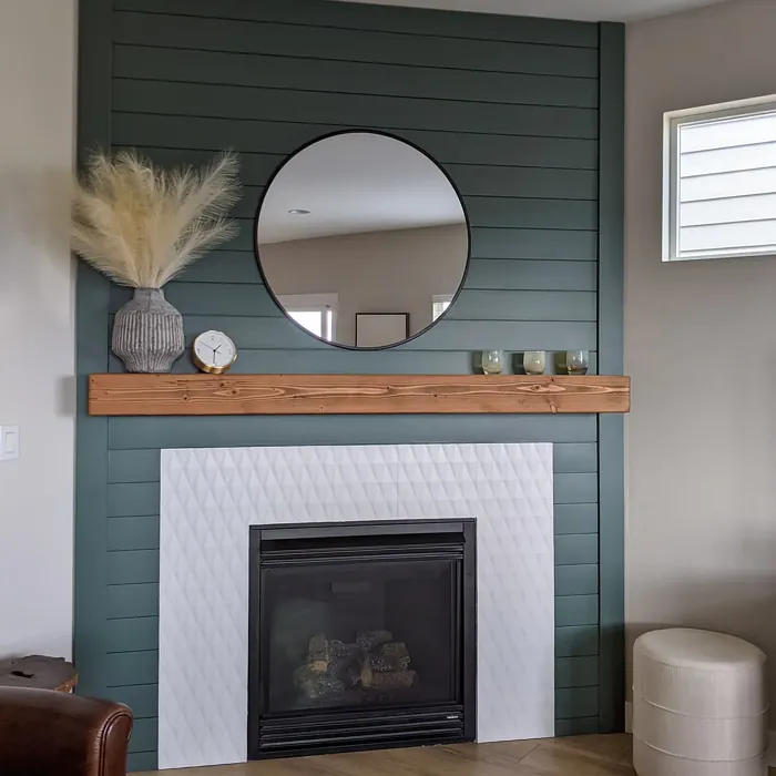 Sherwin Williams Succulent Living Room Fireplace