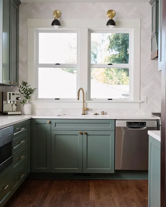 SW Succulent kitchen cabinets photo