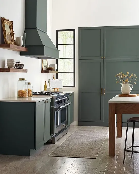 Sherwin Williams SW 9650 kitchen cabinets color
