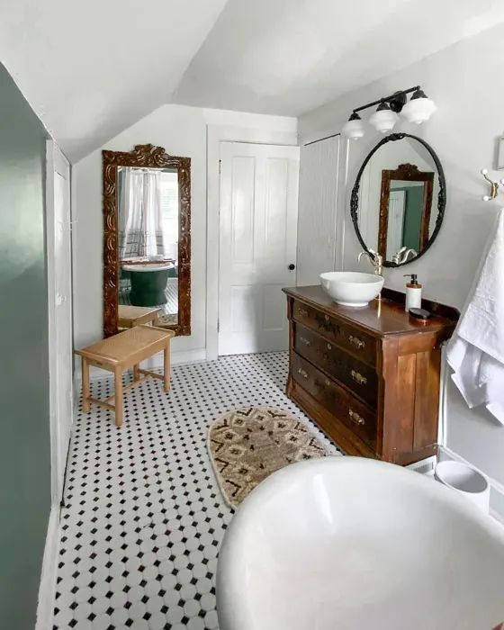 Sherwin Williams Succulent bathroom interior idea