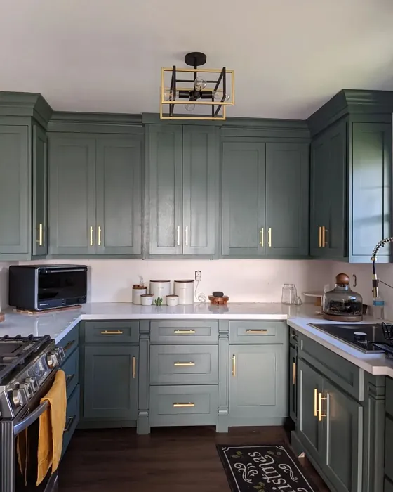 Sherwin Williams Succulent kitchen cabinets interior idea