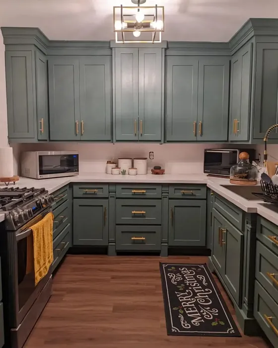 SW Succulent kitchen cabinets interior idea