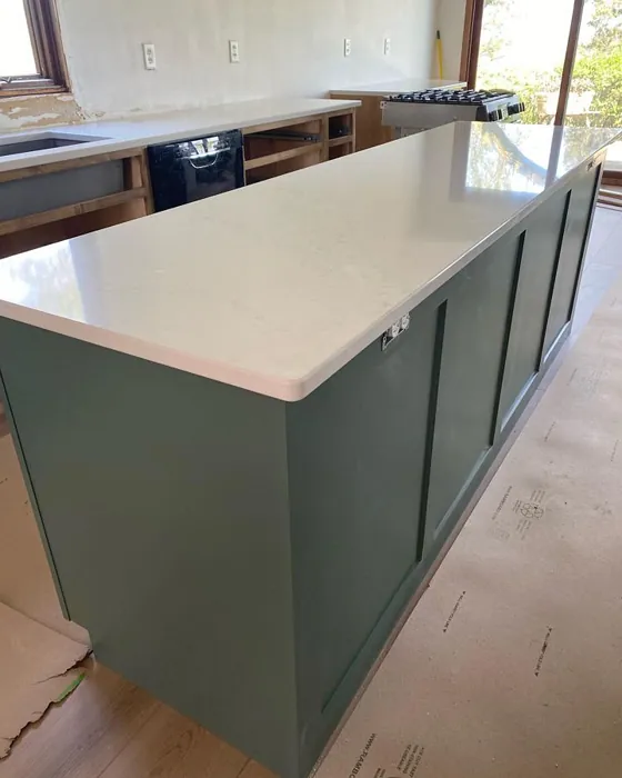 Sherwin Williams Succulent Kitchen Cabinets