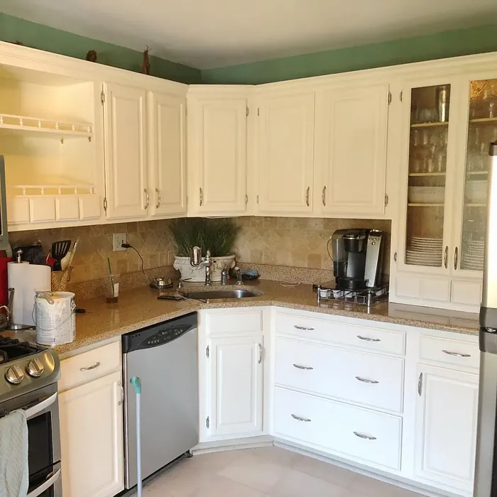 SW 7557 kitchen cabinets color