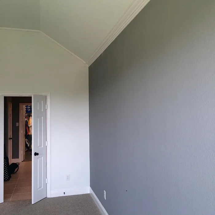 Sw 7669 Accent Wall
