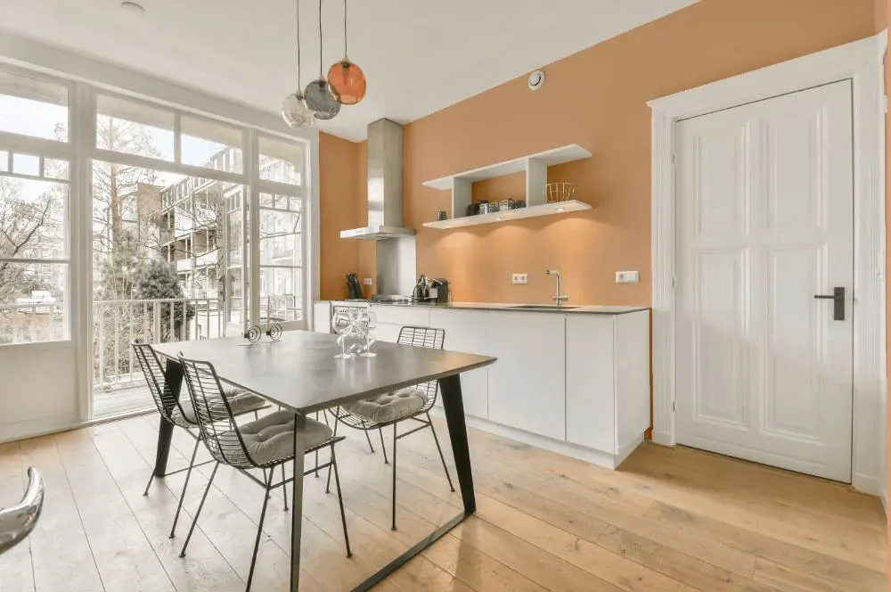 Sherwin Williams Sumptuous Peach kitchen review
