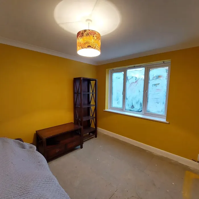 Dulux Honey Mustard wall paint 