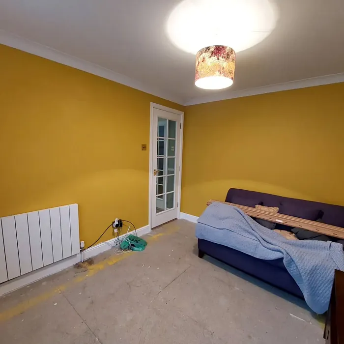 Dulux Honey Mustard wall paint color