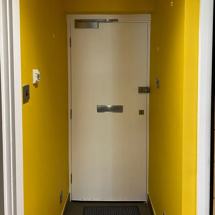 30YY 49/562 hallway color