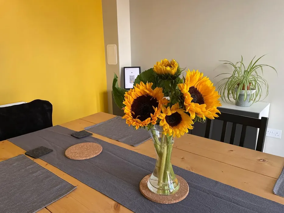 30YY 49/562 dining room accent wall