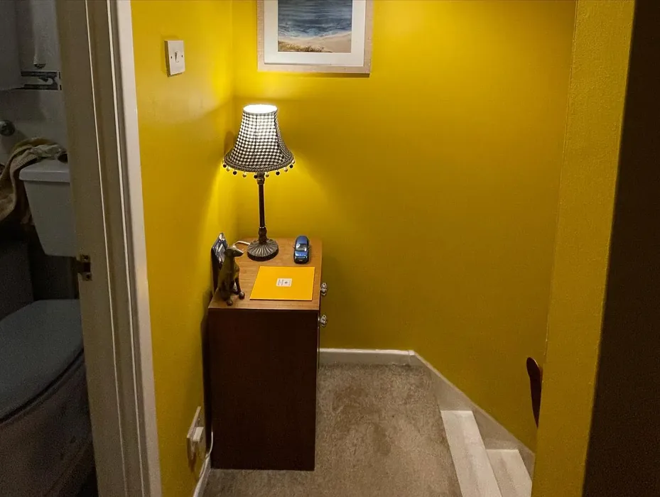 Dulux Sun Dust 2 stairs paint