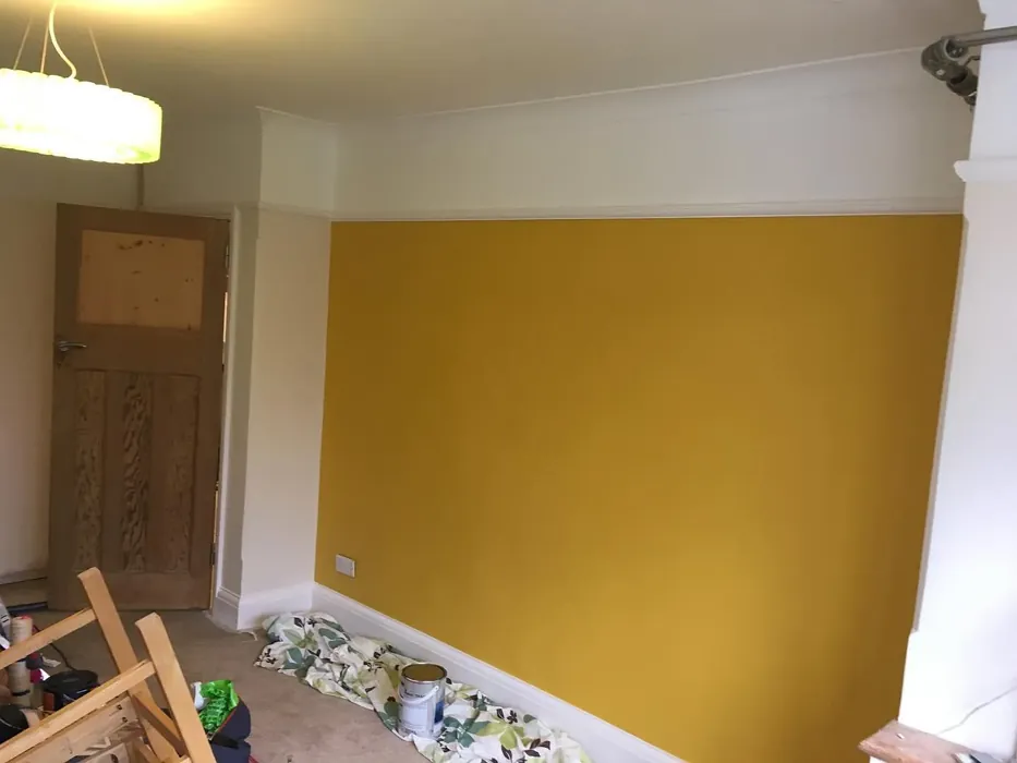 Dulux 30YY 49/562 accent wall 