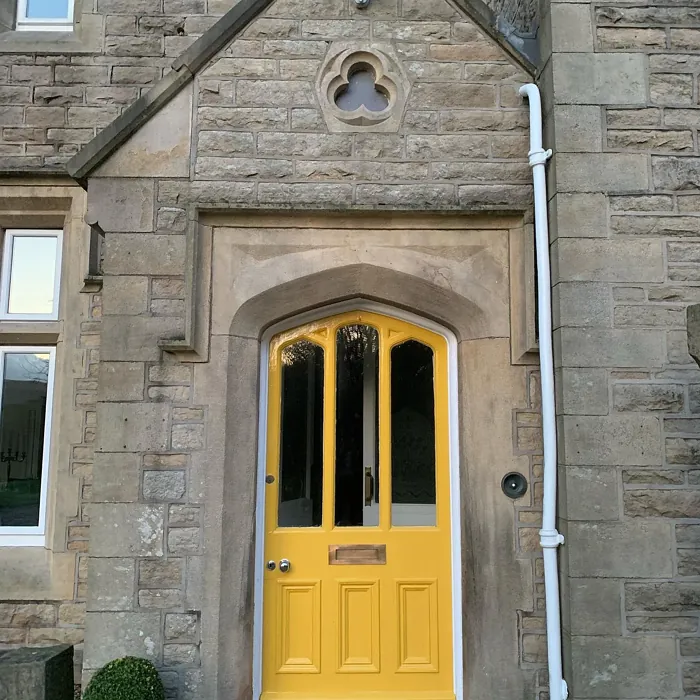 Honey Mustard front door color