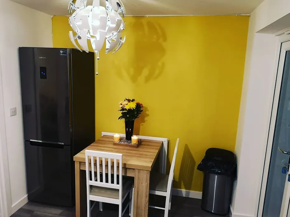 Honey Mustard dining room accent wall