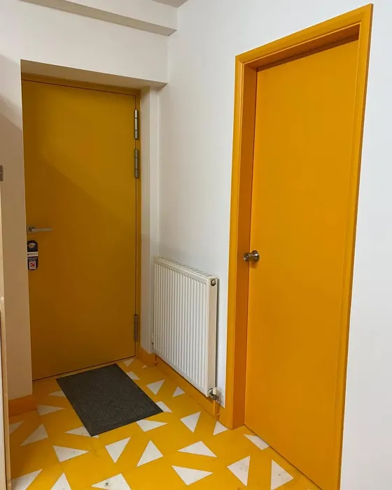 RAL 1037 door review