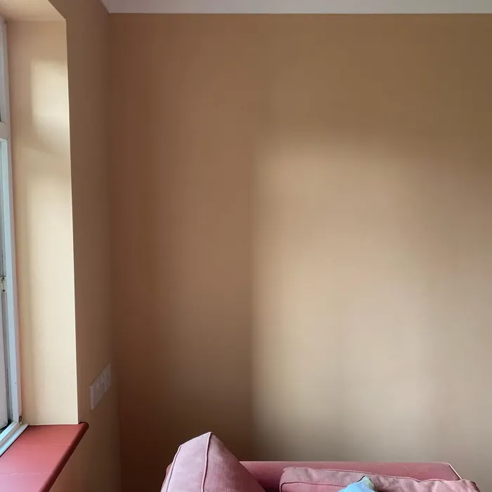 Dulux 90YR 53/238 wall paint review