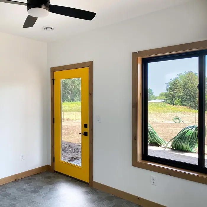 Sherwin Williams Sunflower door color