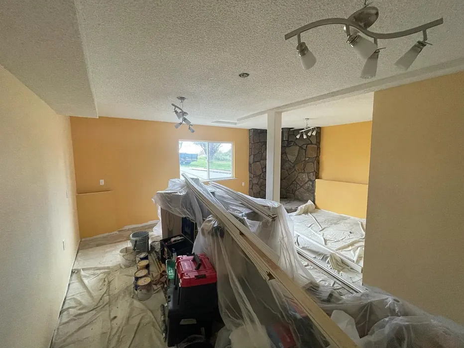 Sherwin Williams Sunrise wall paint color