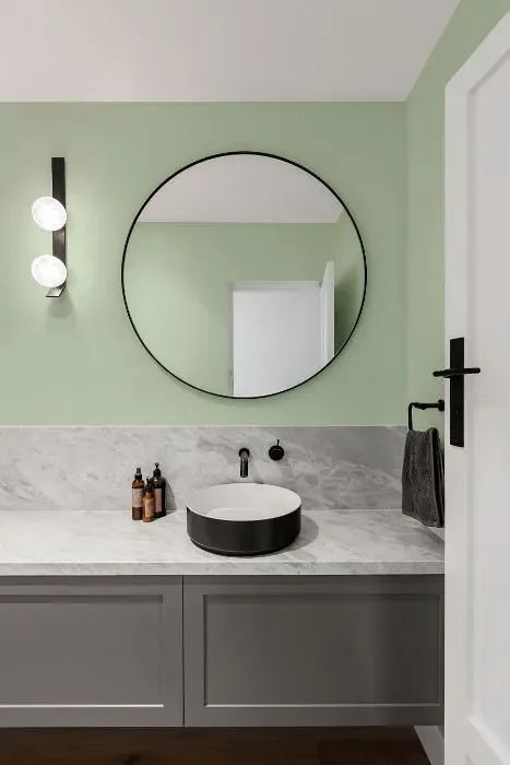 Sherwin Williams Supreme Green minimalist bathroom