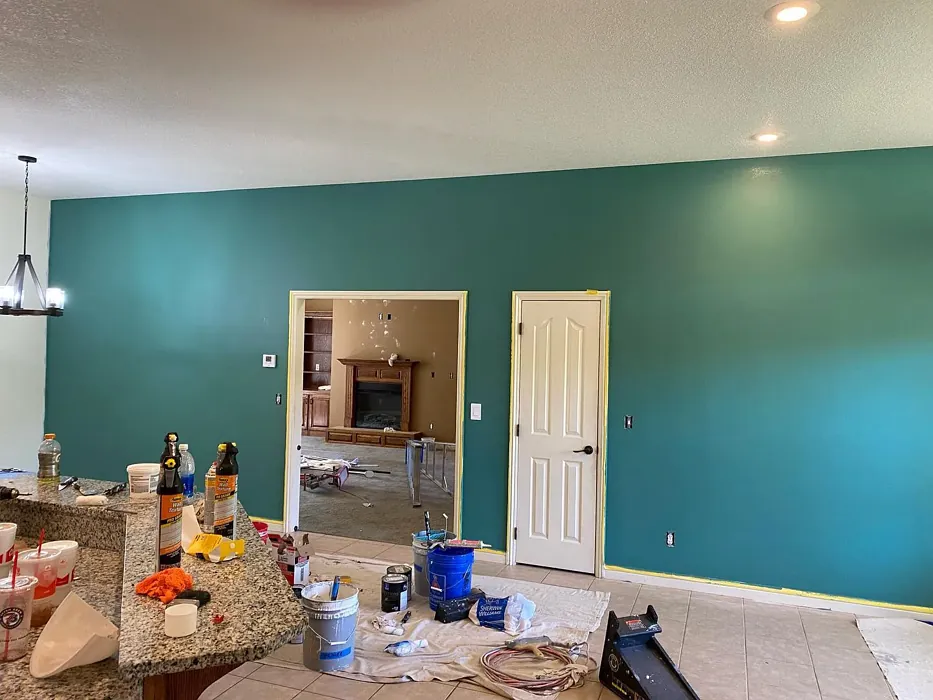 Sherwin Williams Surf Green Accent Wall