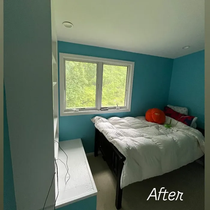 SW Surfin' bedroom color