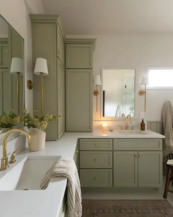 Sherwin Williams Svelte Sage bathroom vanity color Sherwin Williams Svelte Sage bathroom vanity color