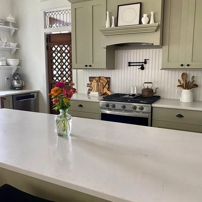 SW Svelte Sage kitchen cabinets paint SW Svelte Sage kitchen cabinets paint