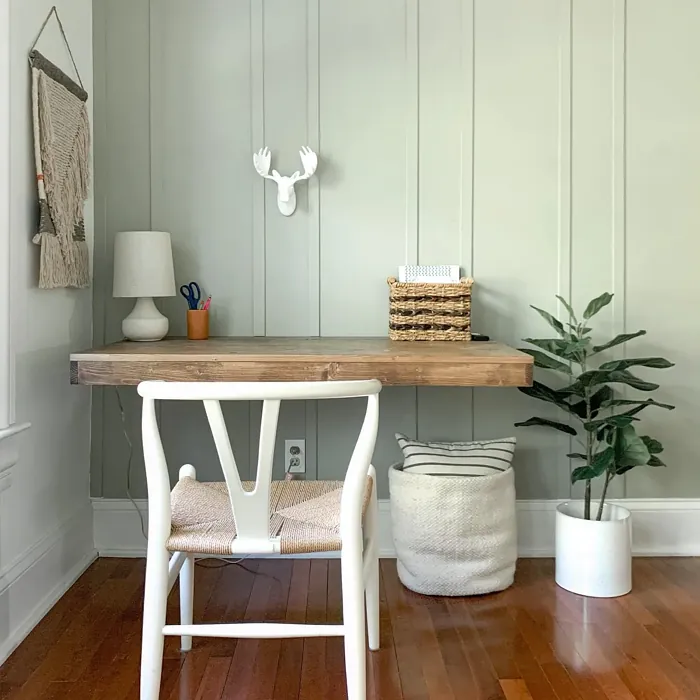 SW Svelte Sage home office accent wall SW Svelte Sage home office accent wall