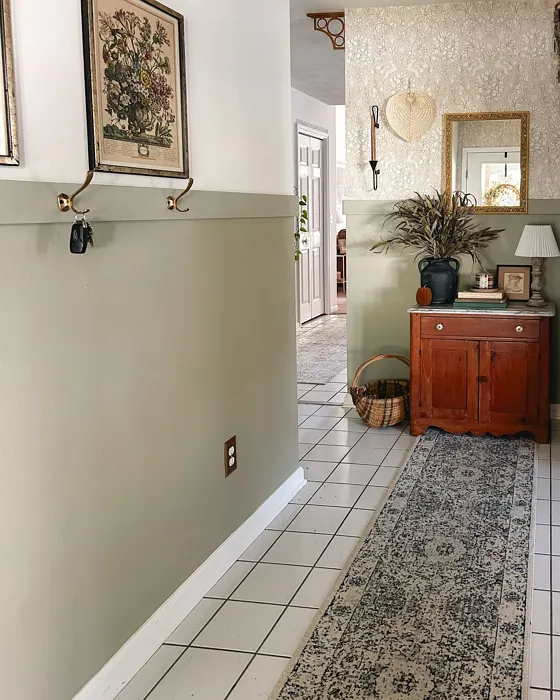 Svelte Sage hallway paint review Svelte Sage hallway paint review