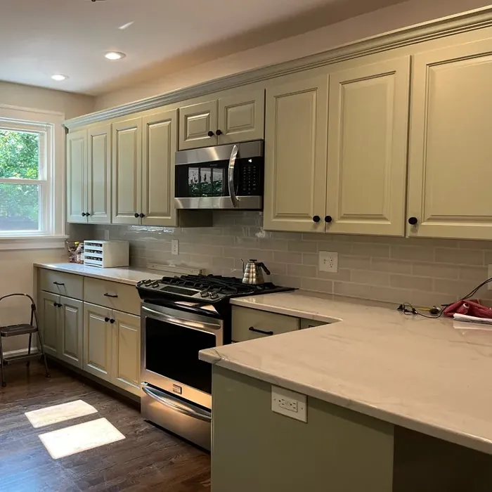 SW 6164 kitchen cabinets color SW 6164 kitchen cabinets color