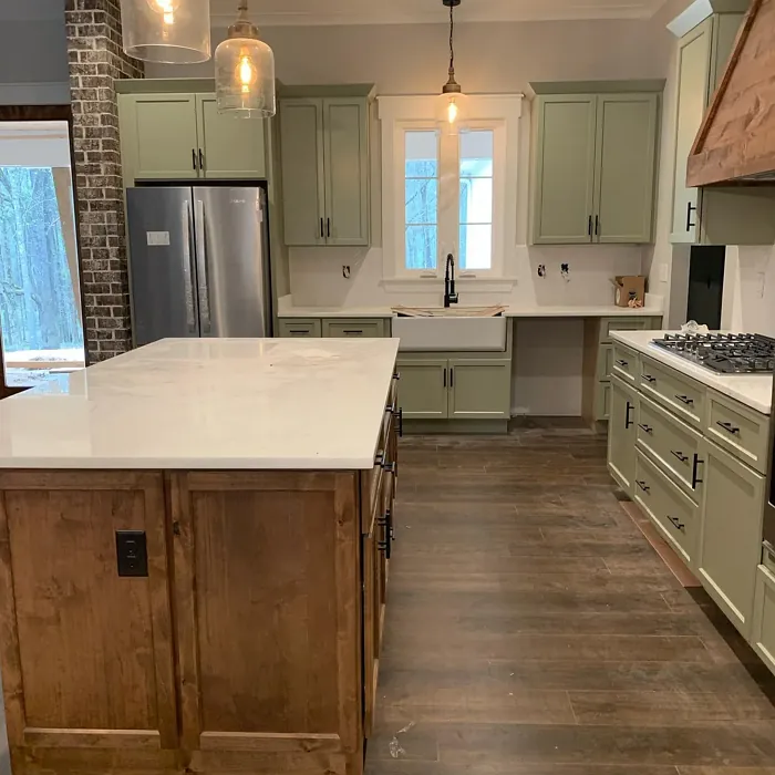 SW Svelte Sage kitchen cabinets color SW Svelte Sage kitchen cabinets color