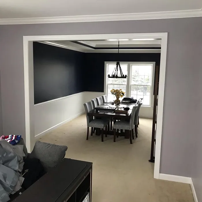 Sherwin Williams Swanky Gray Living Room