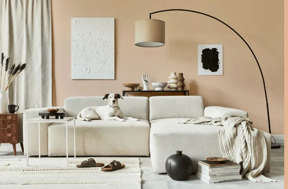 Sherwin Williams Sweet Orange cozy living room