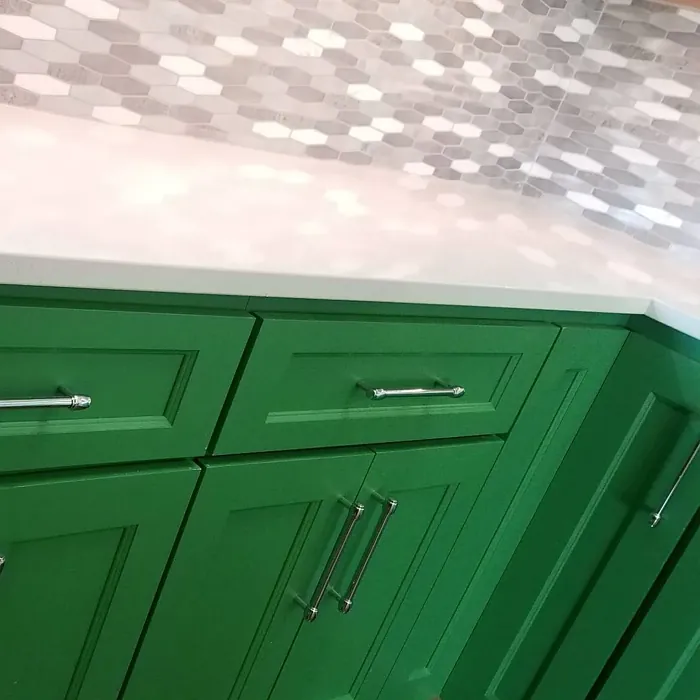 SW Talipot Palm kitchen cabinets 