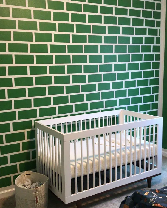 SW Talipot Palm nursery color