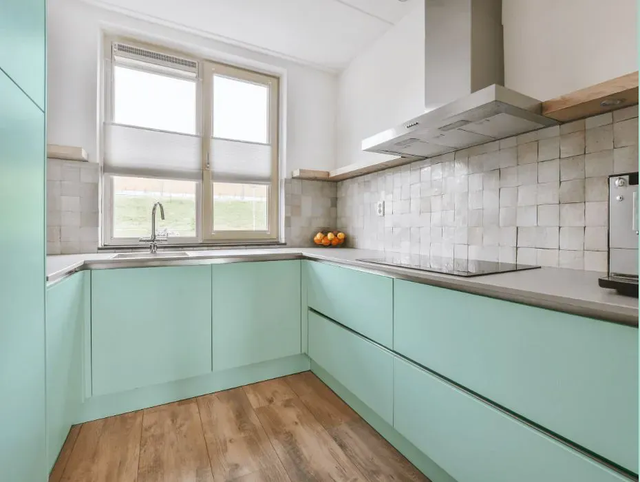 Sherwin Williams Tame Teal small kitchen cabinets