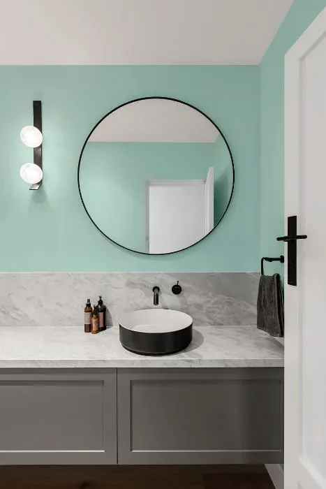 Sherwin Williams Tame Teal minimalist bathroom