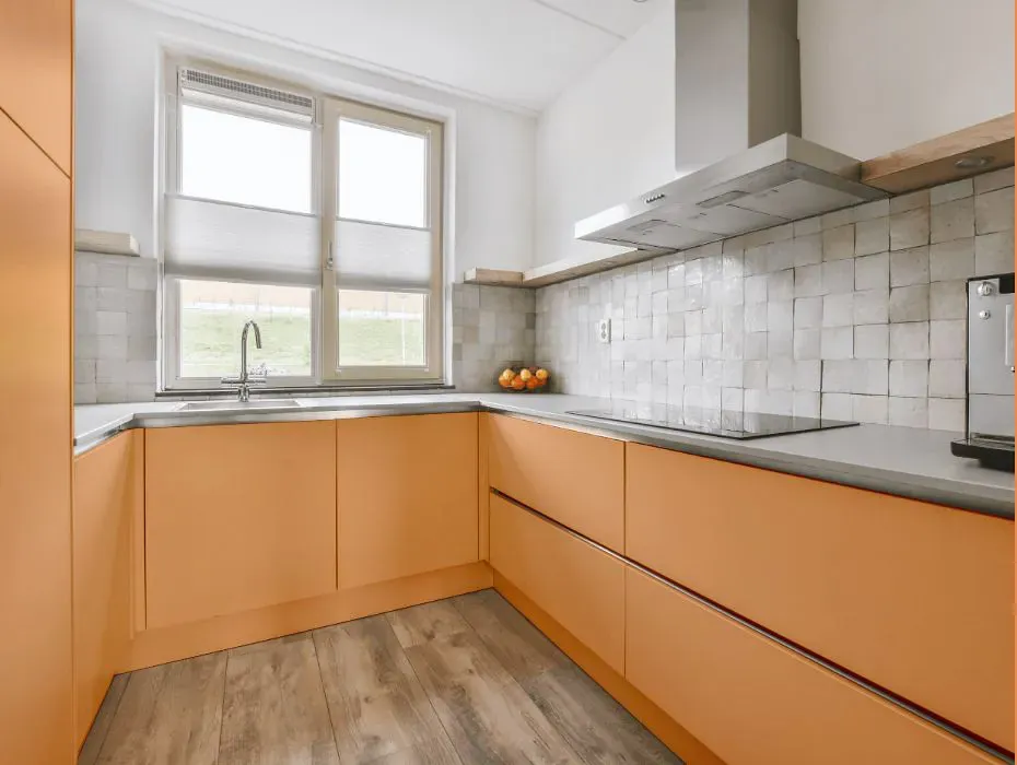 Sherwin Williams Tangerine small kitchen cabinets
