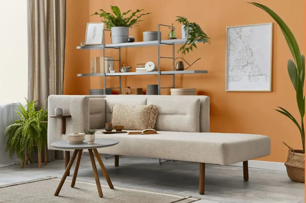 Sherwin Williams Tangerine living room
