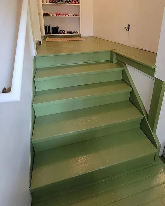 Sherwin Williams Tansy Green Stairs