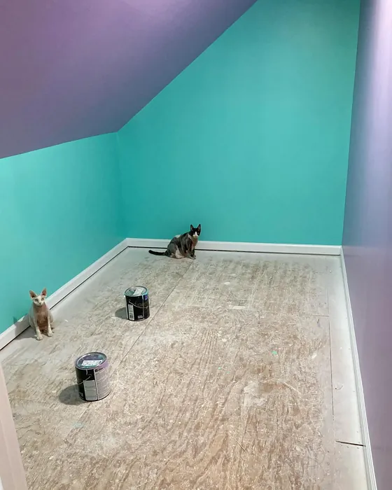 SW Tantalizing Teal wall paint color