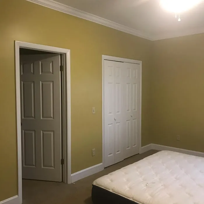 Sherwin Williams Tarnished Trumpet bedroom 