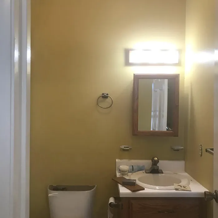 Sherwin Williams Tarnished Trumpet bathroom 